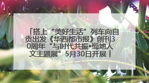 搭上“美好生活”列车向自贡出发《华西都市报》创刊30周年“与时代共振•蜀地人文主题展”5月30日开展丨美好生活有“盐”味