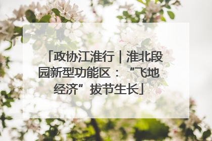 政协江淮行｜淮北段园新型功能区：“飞地经济”拔节生长