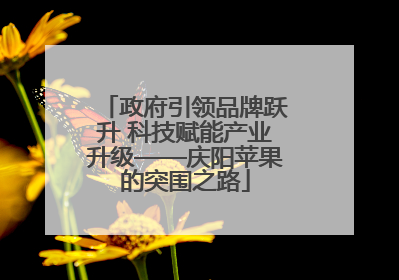 政府引领品牌跃升 科技赋能产业升级——庆阳苹果的突围之路