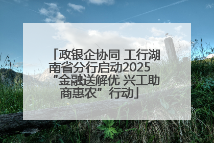 政银企协同 工行湖南省分行启动2025“金融送解优 兴工助商惠农”行动