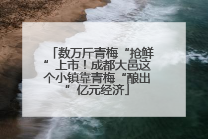 数万斤青梅“抢鲜”上市！成都大邑这个小镇靠青梅“酿出”亿元经济