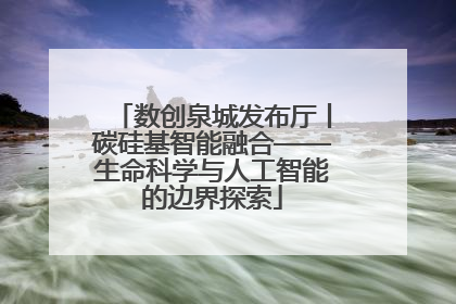 数创泉城发布厅丨碳硅基智能融合——生命科学与人工智能的边界探索