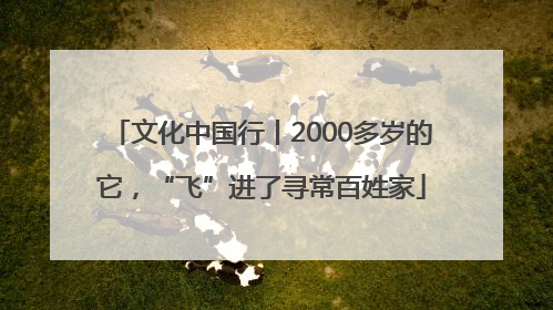 文化中国行丨2000多岁的它,“飞”进了寻常百姓家