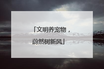 文明养宠物，蔚然树新风