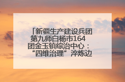 新疆生产建设兵团第九师白杨市164团金玉镇综治中心：“四维治理”淬炼边疆“枫桥样本”
