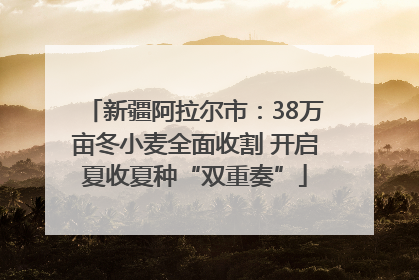 新疆阿拉尔市：38万亩冬小麦全面收割 开启夏收夏种“双重奏”