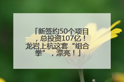 新签约50个项目，总投资107亿！龙岩上杭这套“组合拳”，漂亮！