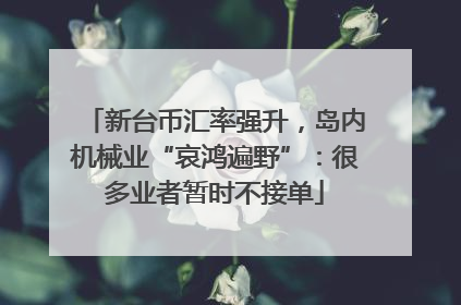 新台币汇率强升，岛内机械业“哀鸿遍野”：很多业者暂时不接单