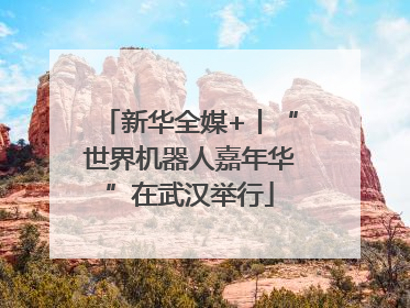 新华全媒+丨“世界机器人嘉年华”在武汉举行