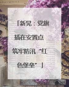 新晃：党旗插在安置点 筑牢防汛“红色堡垒”