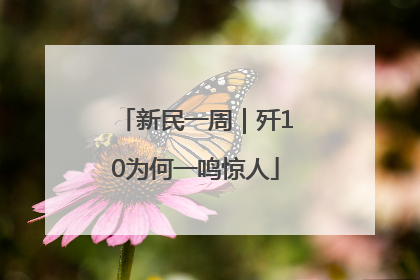 新民一周｜歼10为何一鸣惊人