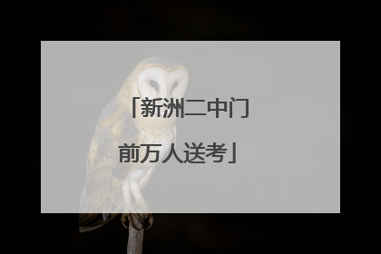 新洲二中门前万人送考