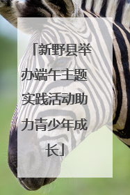 新野县举办端午主题实践活动助力青少年成长
