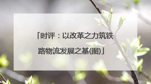 时评：以改革之力筑铁路物流发展之基(图)