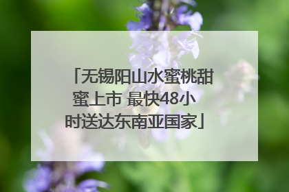 无锡阳山水蜜桃甜蜜上市 最快48小时送达东南亚国家