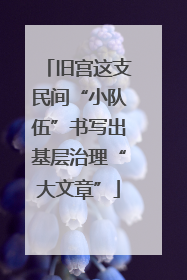 旧宫这支民间“小队伍”书写出基层治理“大文章”