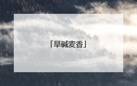 旱碱麦香