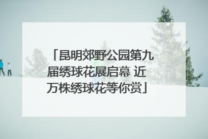 昆明郊野公园第九届绣球花展启幕 近万株绣球花等你赏