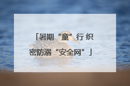 暑期“童”行 织密防溺“安全网”