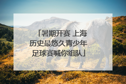 暑期开赛 上海历史最悠久青少年足球赛喊你组队