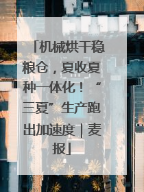 机械烘干稳粮仓，夏收夏种一体化！“三夏”生产跑出加速度｜麦报