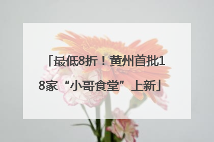最低8折！黄州首批18家“小哥食堂”上新