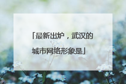 最新出炉，武汉的城市网络形象是