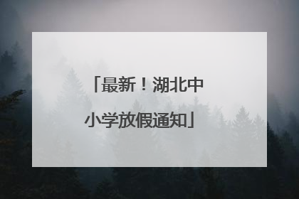 最新！湖北中小学放假通知