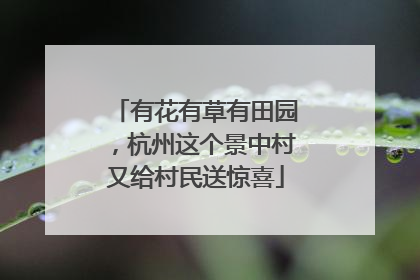 有花有草有田园，杭州这个景中村又给村民送惊喜