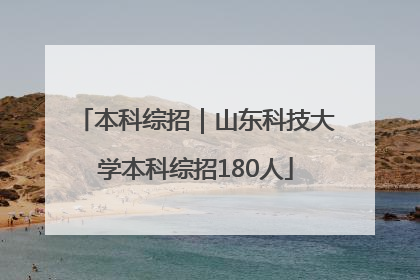 本科综招｜山东科技大学本科综招180人