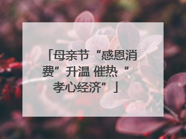 母亲节“感恩消费”升温 催热“孝心经济”