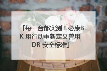 每一台都实测！必康BK 用行动重新定义兽用 DR 安全标准