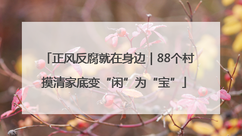 正风反腐就在身边｜88个村摸清家底变“闲”为“宝”