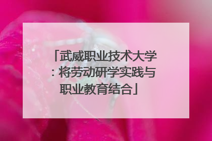 武威职业技术大学：将劳动研学实践与职业教育结合