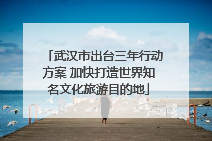 武汉市出台三年行动方案 加快打造世界知名文化旅游目的地