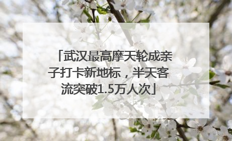武汉最高摩天轮成亲子打卡新地标，半天客流突破1.5万人次