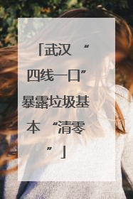 武汉 “四线一口”暴露垃圾基本 “清零”