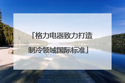 格力电器致力打造制冷领域国际标准
