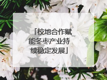 校地合作赋能冬枣产业持续稳定发展