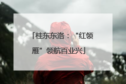 桂东东洛：“红领雁”领航百业兴