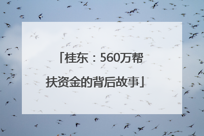 桂东：560万帮扶资金的背后故事