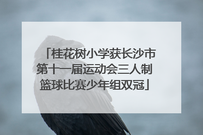 桂花树小学获长沙市第十一届运动会三人制篮球比赛少年组双冠
