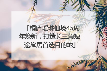 桐庐瑶琳仙境45周年焕新，打造长三角短途旅居首选目的地