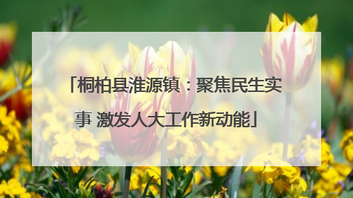 桐柏县淮源镇：聚焦民生实事 激发人大工作新动能