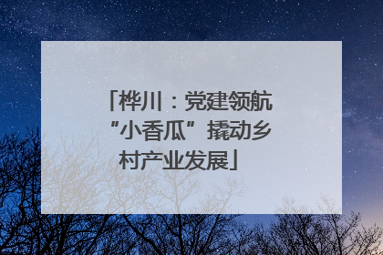 桦川：党建领航“小香瓜”撬动乡村产业发展