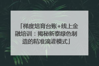 梯度培育台账+线上金融培训：揭秘新泰绿色制造的精准滴灌模式