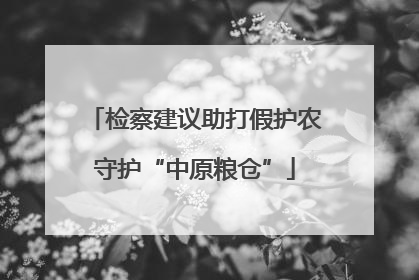 检察建议助打假护农守护“中原粮仓”
