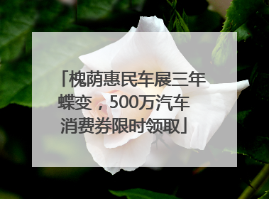 槐荫惠民车展三年蝶变，500万汽车消费券限时领取