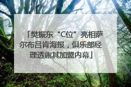 樊振东“C位”亮相萨尔布吕肯海报，俱乐部经理透露其加盟内幕
