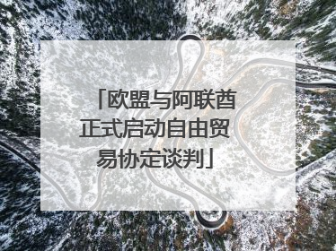 欧盟与阿联酋正式启动自由贸易协定谈判